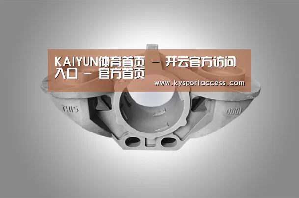 产品展示标题三