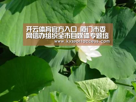 开云体育官方入口_厦门市委网信办组织全市自媒体专题培训,卢秀萍主任强调自媒体的责任与继承(图3) KAIYUN SPORTS