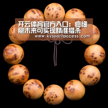 KAIYUN SPORTS