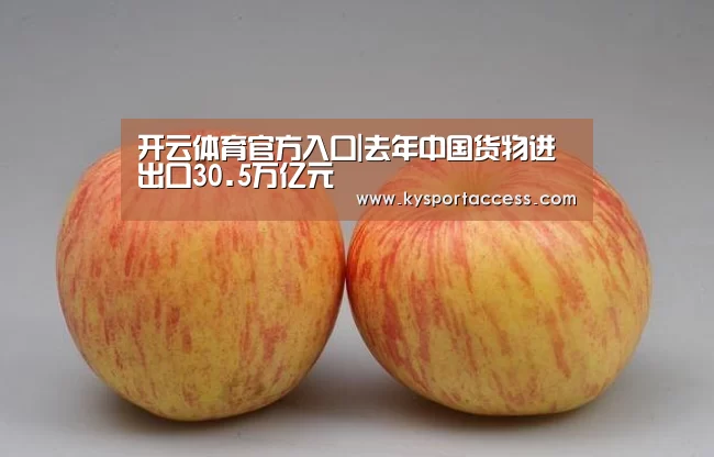 开云体育官方入口|去年中国货物进出口30.5万亿元