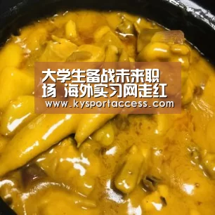 大学生备战未来职场 海外实习网走红‘开云官网首页’
