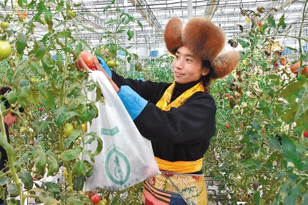 开云体育官方入口