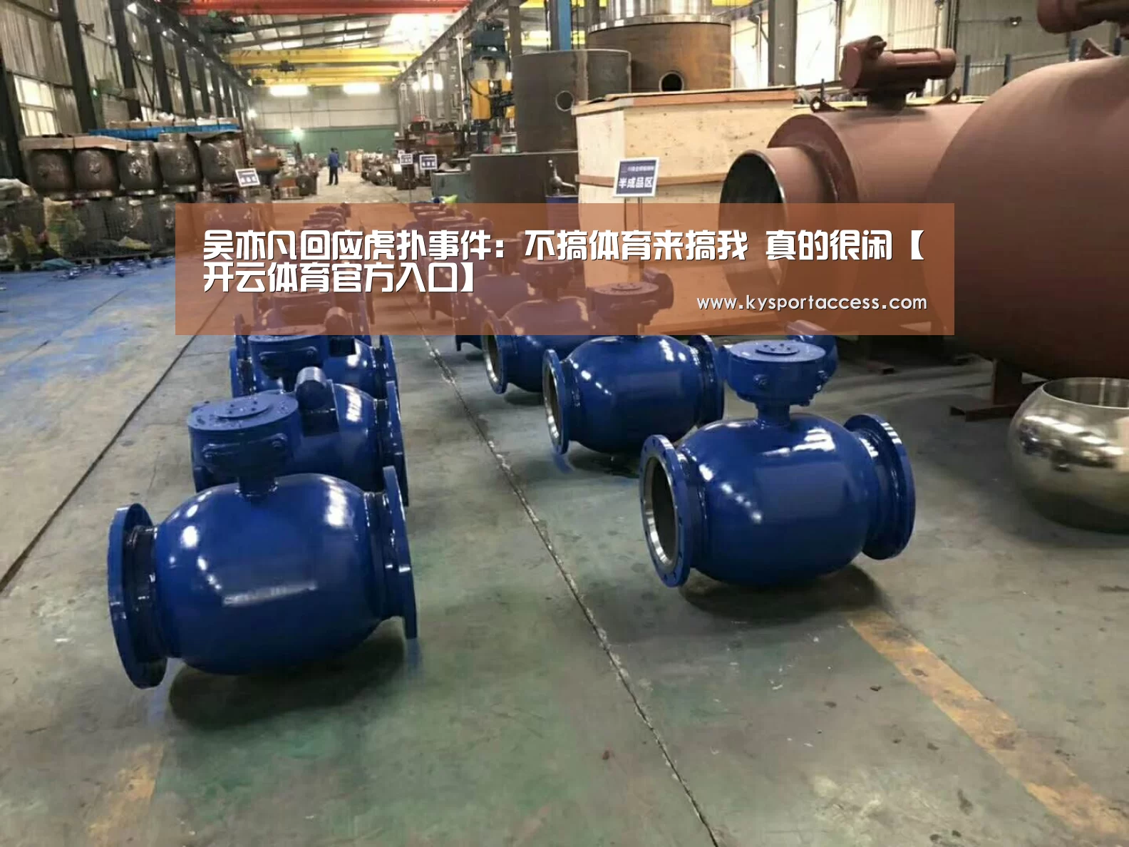 开云体育官方入口