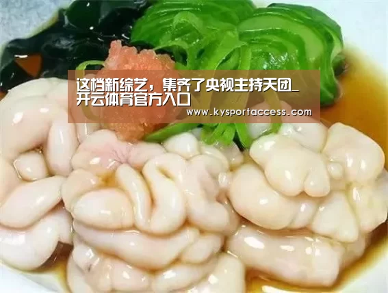 这档新综艺，集齐了央视主持天团_开云体育官方入口