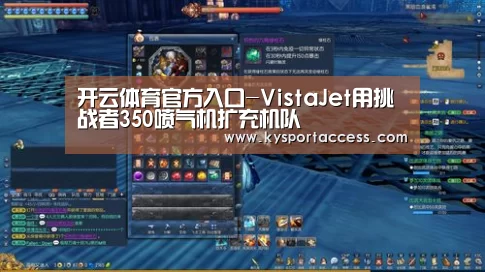 开云体育官方入口-VistaJet用挑战者350喷气机扩充机