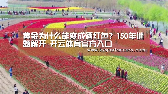 开云官网首页