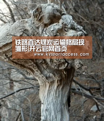 铁路直达煤炭运输格局现雏形|开云官网首页(图2) KAIYUN SPORTS