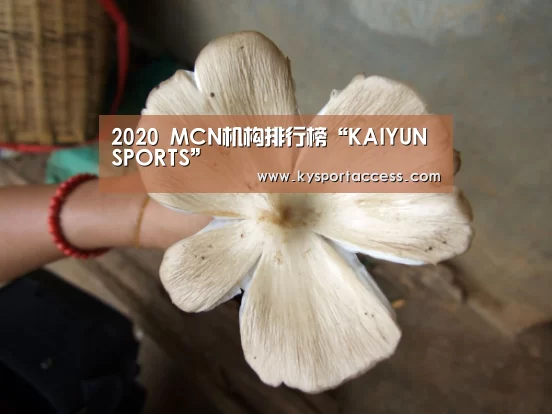 
2020 MCN机构排行榜“KAIYUN SPORTS”